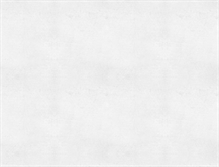 Tablet Screenshot of bridgeman.co.nz